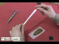 DailySmoker - How to roll a joint - Twinsisters