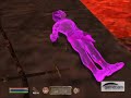 Oblivion Survival Guide Oblivion Survival Guide
