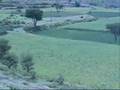 ayoob tarish