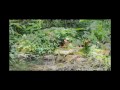 Sea Kayaking Trip in Costa Rica