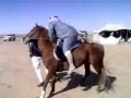 paardje rijden
