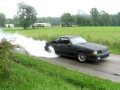 worn out mustang burout
