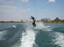 Vaca no Wakeboard