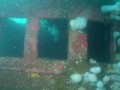 YUKON RUBY E.wmv