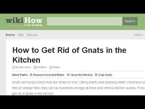 how to get rid gnats in the kitchen