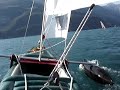 videos kayak