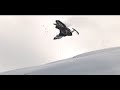 Red Bull Fury snowmobiling Red Bull Fury snowmobiling