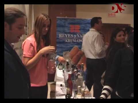 Balance del Salón - Salón del Vino DNS 2010
