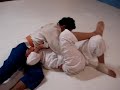 Bruno vs Carlos - Storm Jiu jitsu Cuiaba
