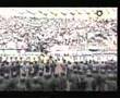 The Torcida Firm