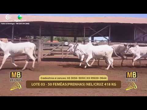 507� LEIL�O VIRTUAL MB LEIL�ES