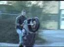 Lunda stunt session