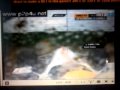 Hamilton crash in Hockenheim 2010