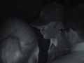 Opi ghost hunts.