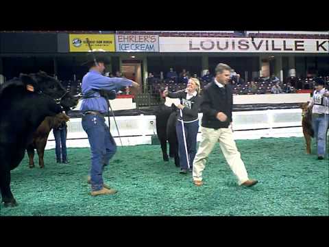 how to eliminate g force