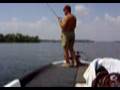 50 inch Longnose Gar