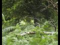 AIRSOFT SNIPER SCHOOL - good quality