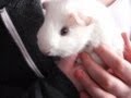 Lily and Lola - YouTube
