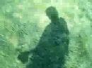 Shadow Walking