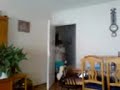 F�rsk Medicin