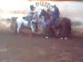 toros en el pujio ;)