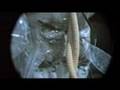 Terry Gilliam's Movie Brazil - Plumbers' Nasty End