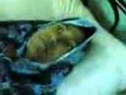 Kerasukan oleh hantu