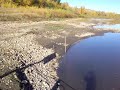 Shaftesbury Ferry 1