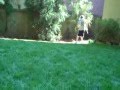 2010-05-12 | Baseball Fight with Wiffleball Bats ~> We thought of this when I hit my brother. So this is it. ()