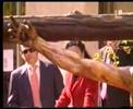 Cristo de la Sed en Campana. 2007 Cristo de la Sed en Campana. 2007