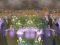 Assistir ao v�deo