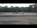 Clear Cutting Trees Hilton Head Island