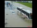 videos de pnm.mpg