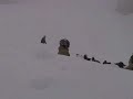 Huawa in S�ll ;)