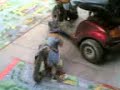 smart monkey