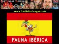 Fascistas se manifiestan en Santader el 18 de Julio