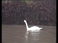 IN WEST SOMERSET UK BEFORE THE MARINA WAS BUILT.TO SEE WATCHET HARBOUR EVEN EARLIER SEE MY CLIP WSR WILLITON TO WATCHET IN 1989