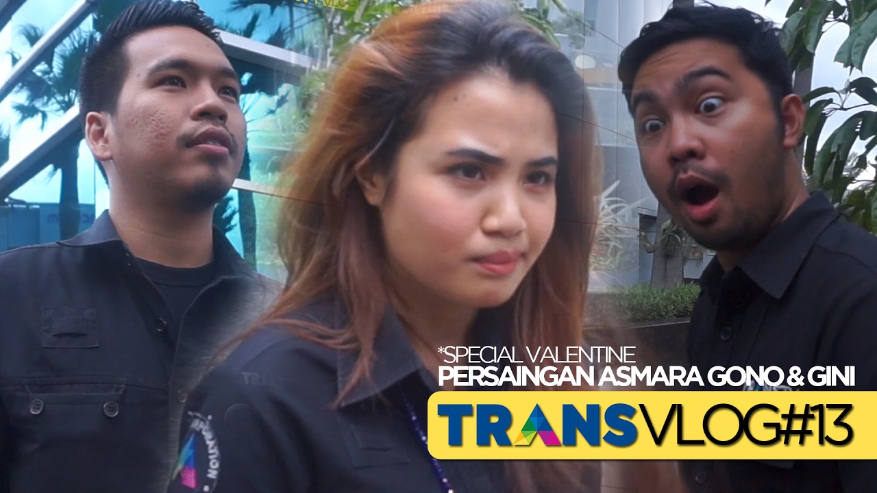 transvlog