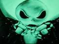 videos de Niggi Jack Gone Mad!!!