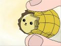 Mameshiba 3 - Peanut (tribute)