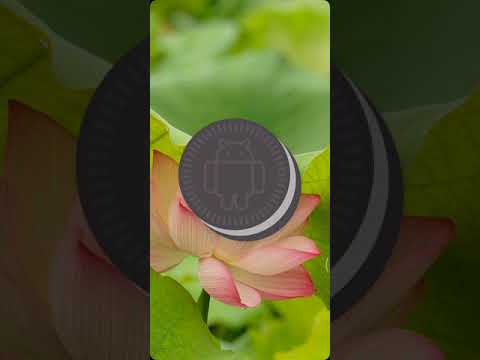 Gearbest - My Redmi Note 5 Pro