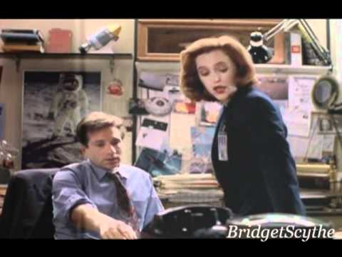 �������� ����� ������ � ��������� ��������� / X-Files