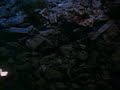  tarkovskij poetry cameraobscura