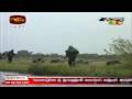 videos de Wanni Operation 7 th January 2009