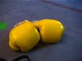 MUAY THAI MECHANICS OF Basics, Hands, Shifting and Elbows PA