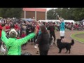 Kurzfilm des Hund und Sport Mannheim eV - Deutsche Meisterschaft 2011 im Turnierhundesport