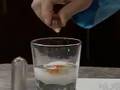 The Quirkles KOLR 10 Density Dan Science Experiment