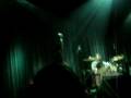 Apple-Tree-Wolfmothe