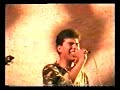 timpuri noi - pasari de noapte