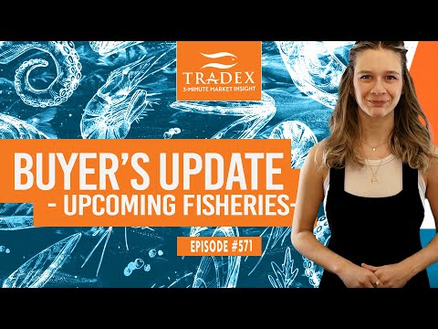 3MMI - Buyer’s Update: Cod, Crab, Haddock, Halibut, Pangasius, Pollock, Salmon, Tilapia